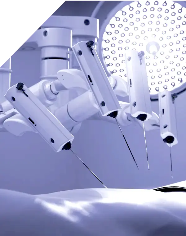 robotica 2Z